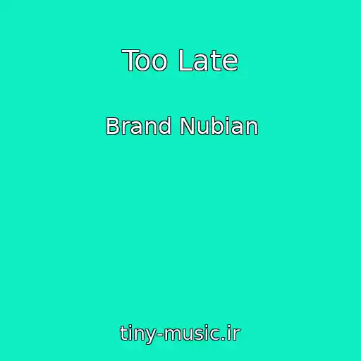 کاور آهنگ Too Late از Brand Nubian