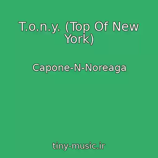 کاور آهنگ T.o.n.y. (Top Of New York) از Capone-N-Noreaga