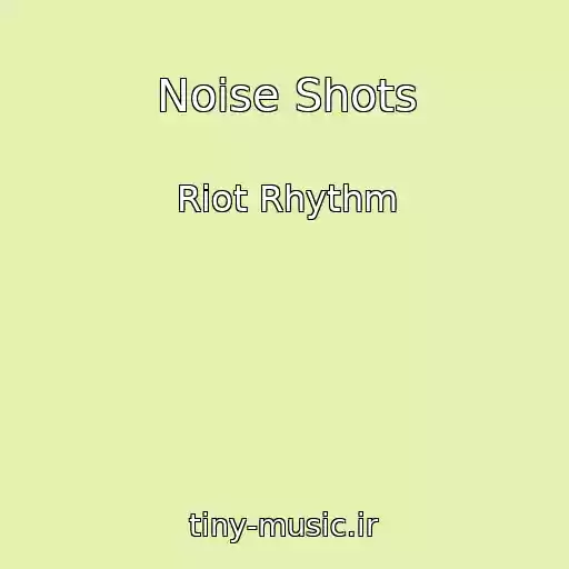 کاور آهنگ Noise Shots از Riot Rhythm