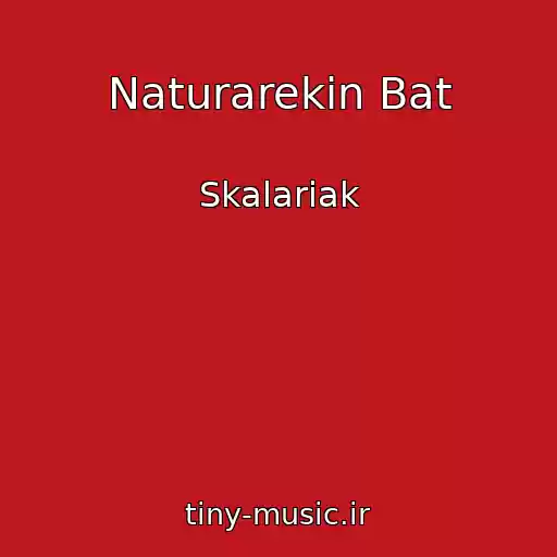کاور آهنگ Naturarekin Bat از Skalariak