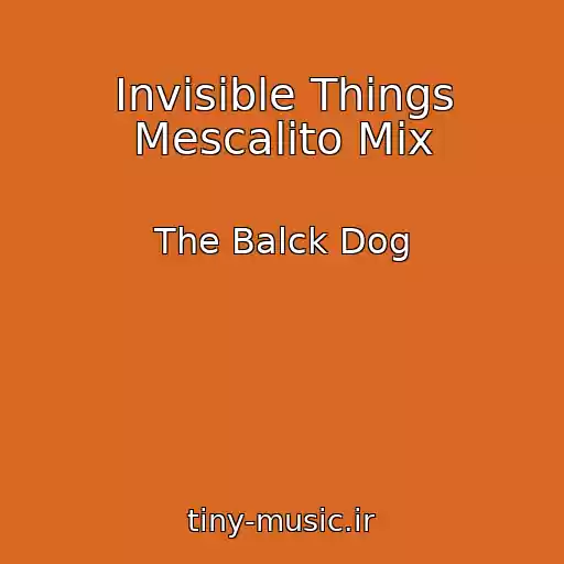 کاور آهنگ Invisible Things Mescalito Mix از The Balck Dog