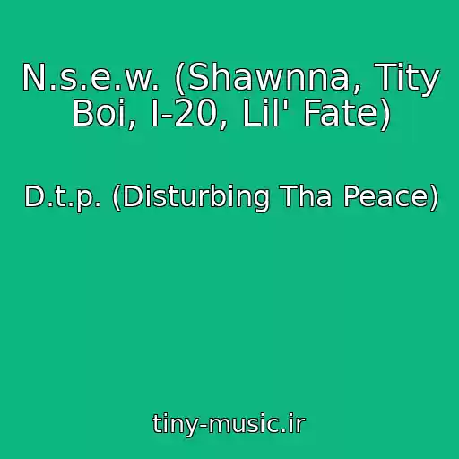 کاور آهنگ N.s.e.w. (Shawnna, Tity Boi, I-20, Lil' Fate) از D.t.p. (Disturbing Tha Peace)