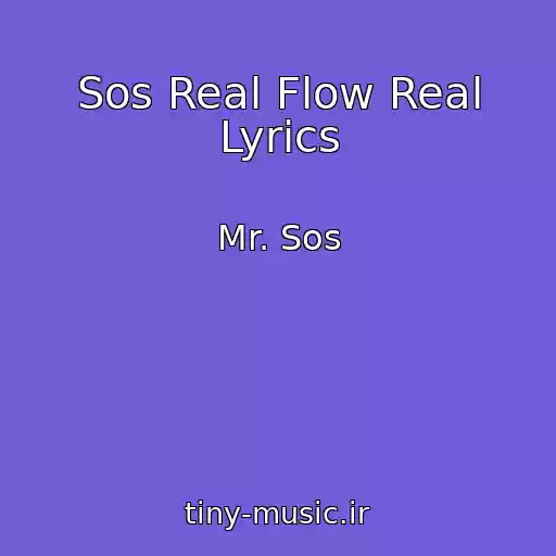 کاور آهنگ Sos Real Flow Real Lyrics از Mr. Sos