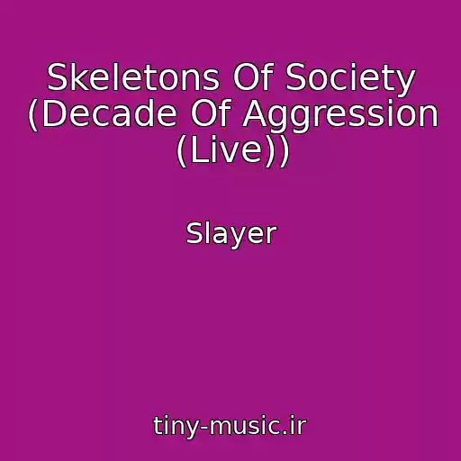 کاور آهنگ Skeletons Of Society (Decade Of Aggression (Live)) از Slayer