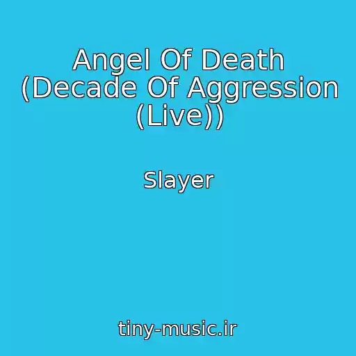 کاور آهنگ Angel Of Death (Decade Of Aggression (Live)) از Slayer