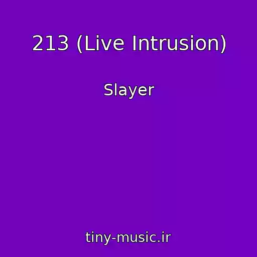 کاور آهنگ 213 (Live Intrusion) از Slayer