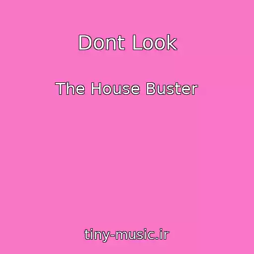 کاور آهنگ Dont Look از The House Buster