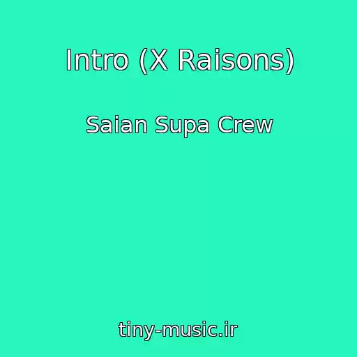 کاور آهنگ Intro (X Raisons) از Saian Supa Crew