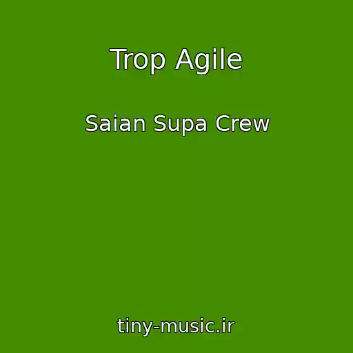 کاور آهنگ Trop Agile از Saian Supa Crew
