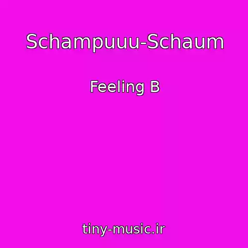 کاور آهنگ Schampuuu-Schaum از Feeling B