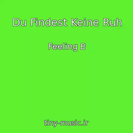 کاور آهنگ Du Findest Keine Ruh از Feeling B