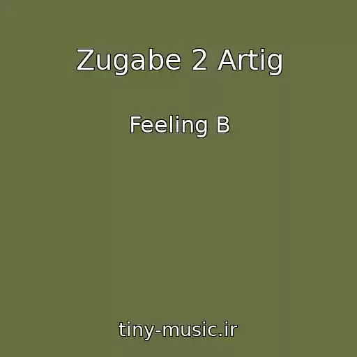 کاور آهنگ Zugabe 2 Artig از Feeling B