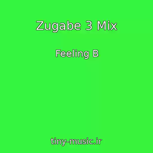 کاور آهنگ Zugabe 3 Mix از Feeling B