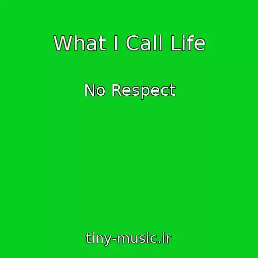 کاور آهنگ What I Call Life از No Respect