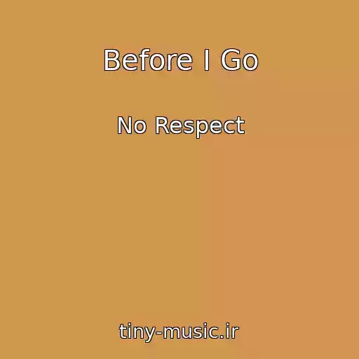 کاور آهنگ Before I Go از No Respect