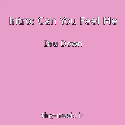 کاور آهنگ Intro: Can You Feel Me از Dru Down