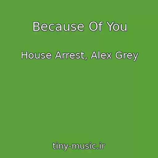 کاور آهنگ Because Of You از House Arrest, Alex Grey
