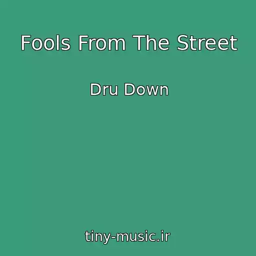 کاور آهنگ Fools From The Street از Dru Down