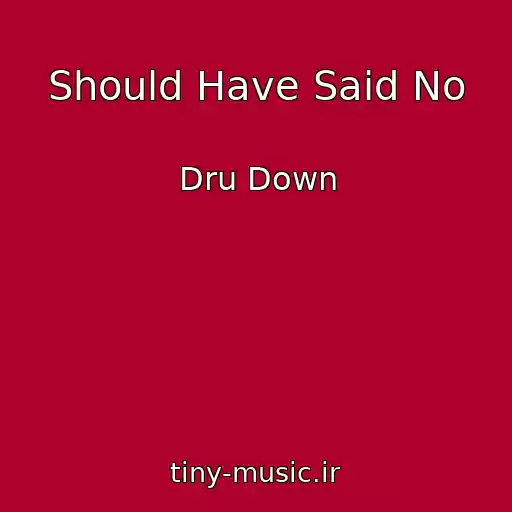 کاور آهنگ Should Have Said No از Dru Down