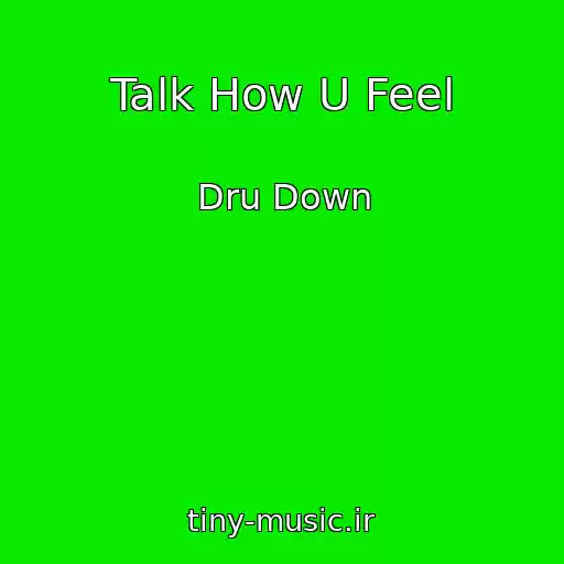 کاور آهنگ Talk How U Feel از Dru Down