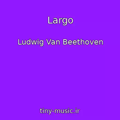 کاور آهنگ Largo از Ludwig Van Beethoven