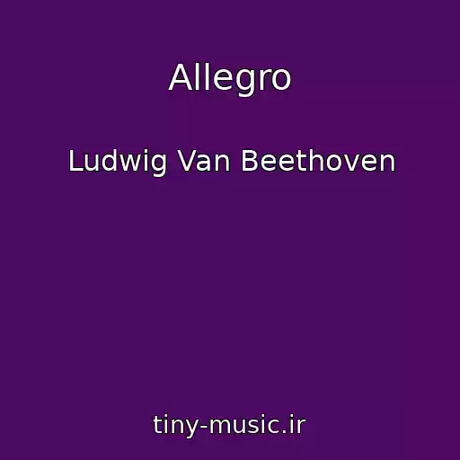 کاور آهنگ Allegro از Ludwig Van Beethoven
