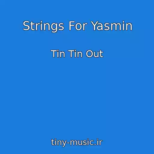 کاور آهنگ Strings For Yasmin از Tin Tin Out