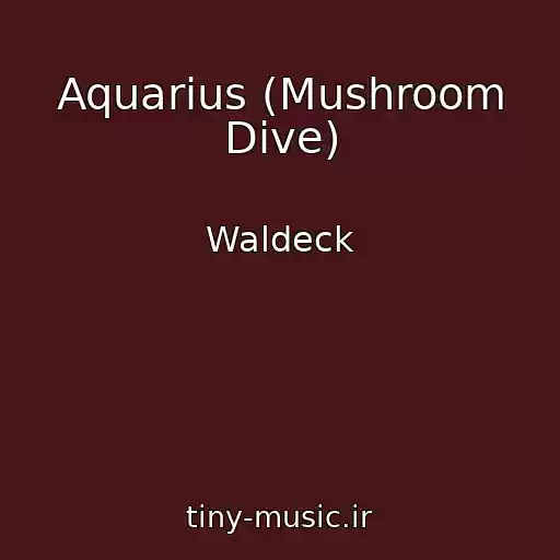 کاور آهنگ Aquarius (Mushroom Dive) از Waldeck