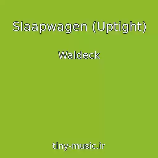کاور آهنگ Slaapwagen (Uptight) از Waldeck