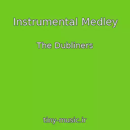 کاور آهنگ Instrumental Medley از The Dubliners