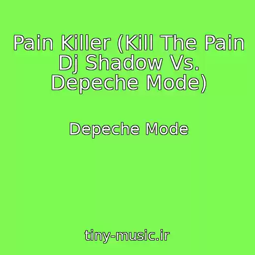 کاور آهنگ Pain Killer (Kill The Pain Dj Shadow Vs. Depeche Mode) از Depeche Mode