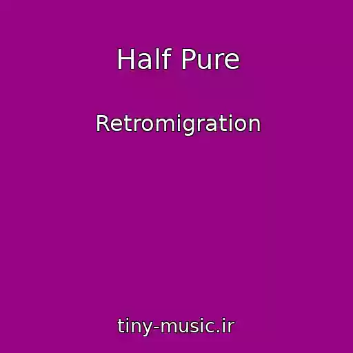 کاور آهنگ Half Pure از Retromigration