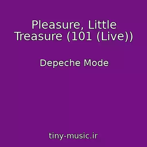 کاور آهنگ Pleasure, Little Treasure (101 (Live)) از Depeche Mode