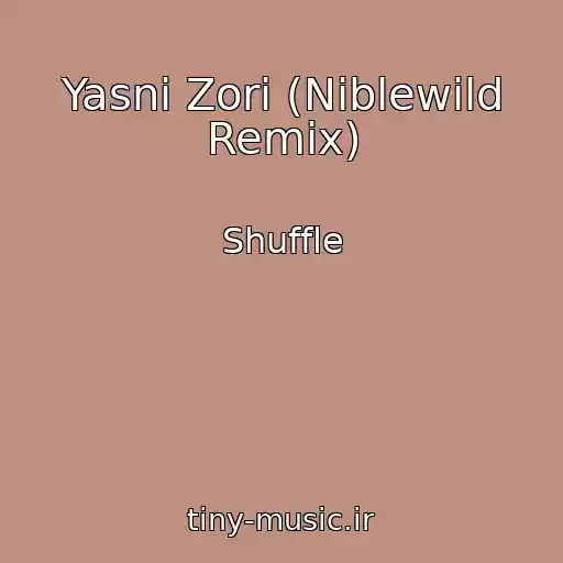 کاور آهنگ Yasnі Zorі (Niblewild Remix) از Shuffle