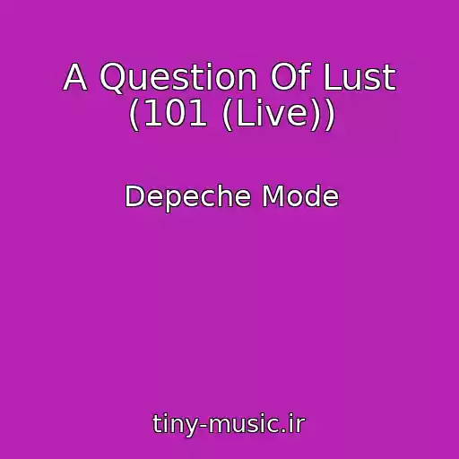 کاور آهنگ A Question Of Lust (101 (Live)) از Depeche Mode