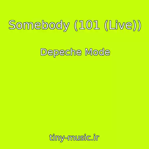 کاور آهنگ Somebody (101 (Live)) از Depeche Mode