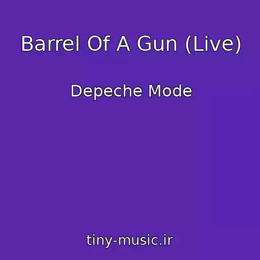 کاور آهنگ Barrel Of A Gun (Live) از Depeche Mode