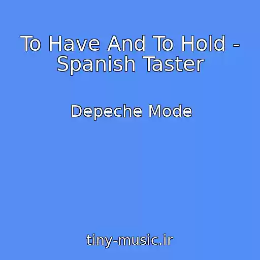 کاور آهنگ To Have And To Hold - Spanish Taster از Depeche Mode