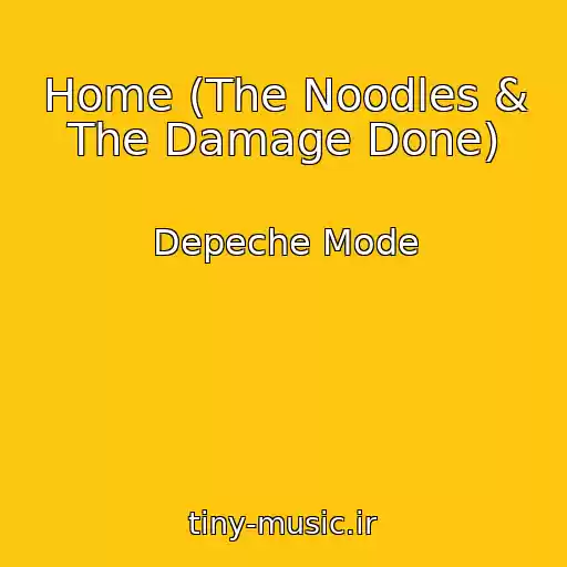 کاور آهنگ Home (The Noodles & The Damage Done) از Depeche Mode