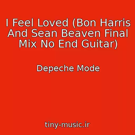 کاور آهنگ I Feel Loved (Bon Harris And Sean Beaven Final Mix No End Guitar) از Depeche Mode