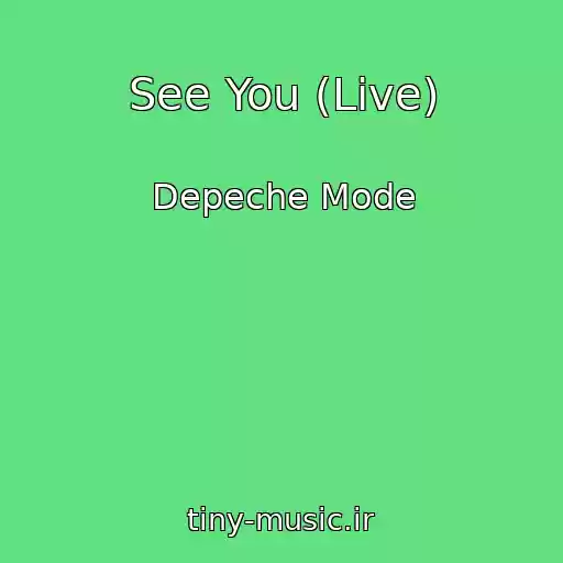 کاور آهنگ See You (Live) از Depeche Mode