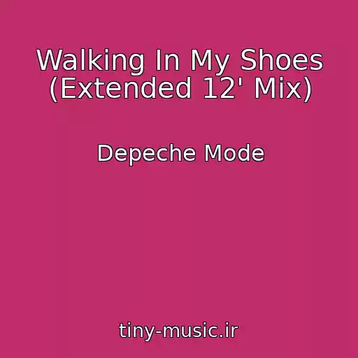 کاور آهنگ Walking In My Shoes (Extended 12' Mix) از Depeche Mode