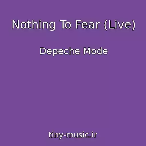 کاور آهنگ Nothing To Fear (Live) از Depeche Mode