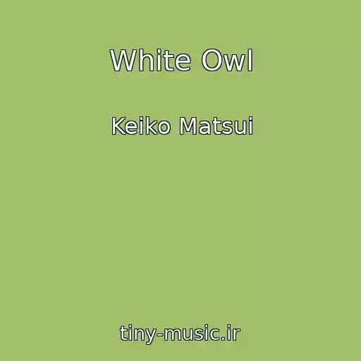کاور آهنگ White Owl از Keiko Matsui