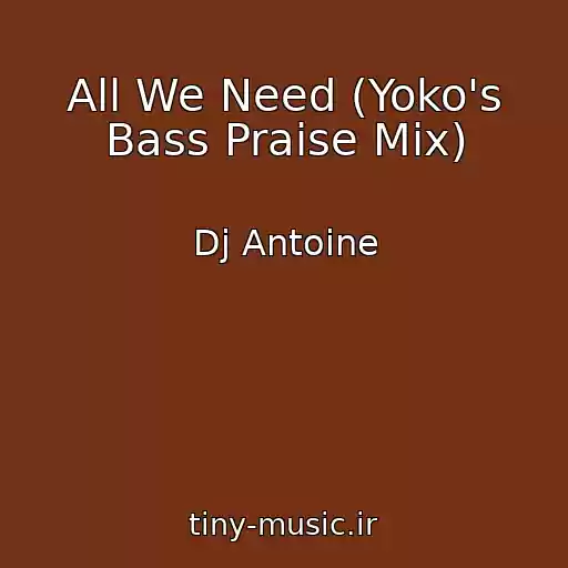 کاور آهنگ All We Need (Yoko's Bass Praise Mix) از Dj Antoine