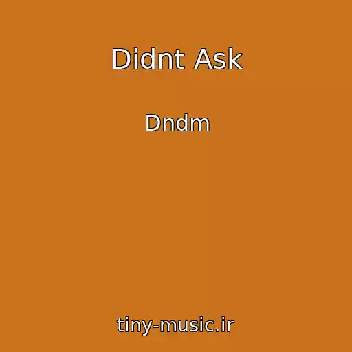 کاور آهنگ Didnt Ask از Dndm