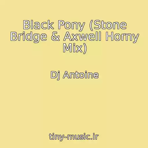 کاور آهنگ Black Pony (Stone Bridge & Axwell Horny Mix) از Dj Antoine