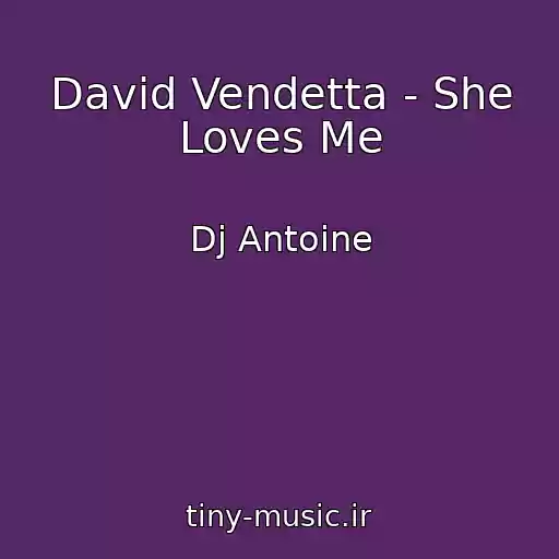 کاور آهنگ David Vendetta - She Loves Me از Dj Antoine