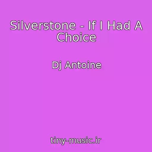 کاور آهنگ Silverstone - If I Had A Choice از Dj Antoine