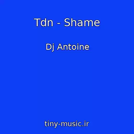 کاور آهنگ Tdn - Shame از Dj Antoine